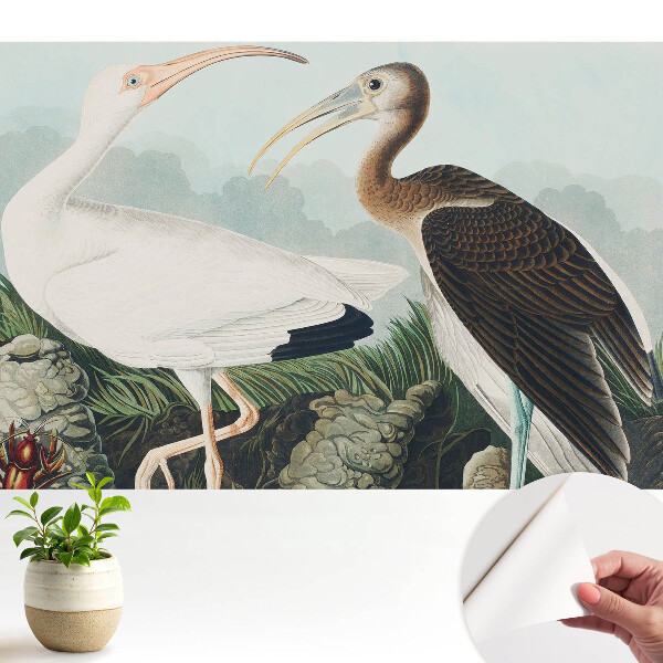 Dekor tapéta Két madár természetes környezetében