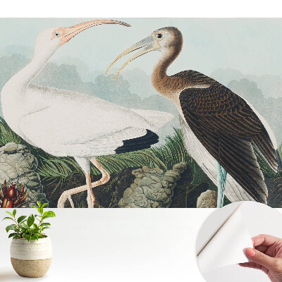 Dekor tapéta Két madár természetes környezetében