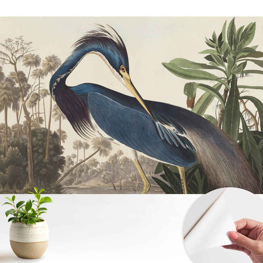 Öntapadós tapéta falra Egy egzotikus madár a növényzet hátterében