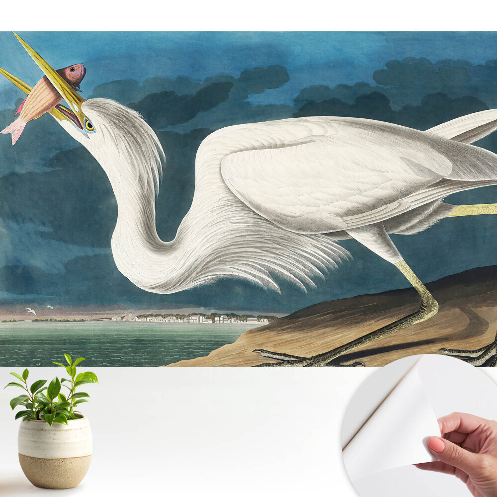 Dekor tapéta Madár eleganciája és természete