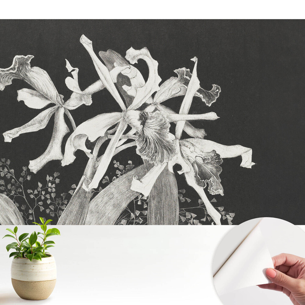 Dekor tapéta Elegáns virágok sötét háttér előtt