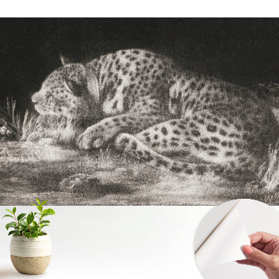 Dekor tapéta Egy leopárd pihen a fűben