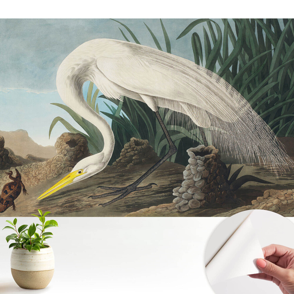 Öntapadó tapéta Egy gém a fűben