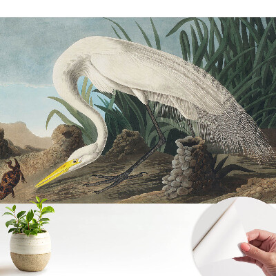 Öntapadó tapéta Egy gém a fűben