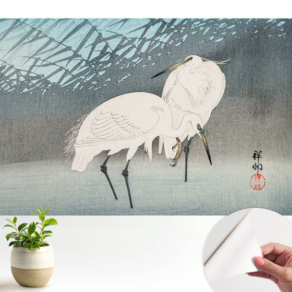 Tapéta Hagyományos madarak elegancia részlet víz béke