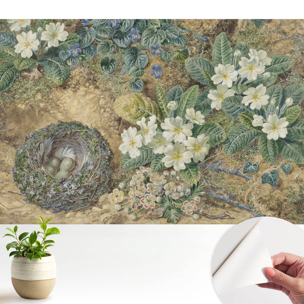 Modern tapéta Primula virágok madárfészekkel