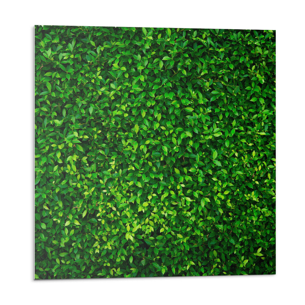 Vinyl csempe Sűrű levélfal