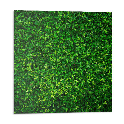 Vinyl csempe Sűrű levélfal