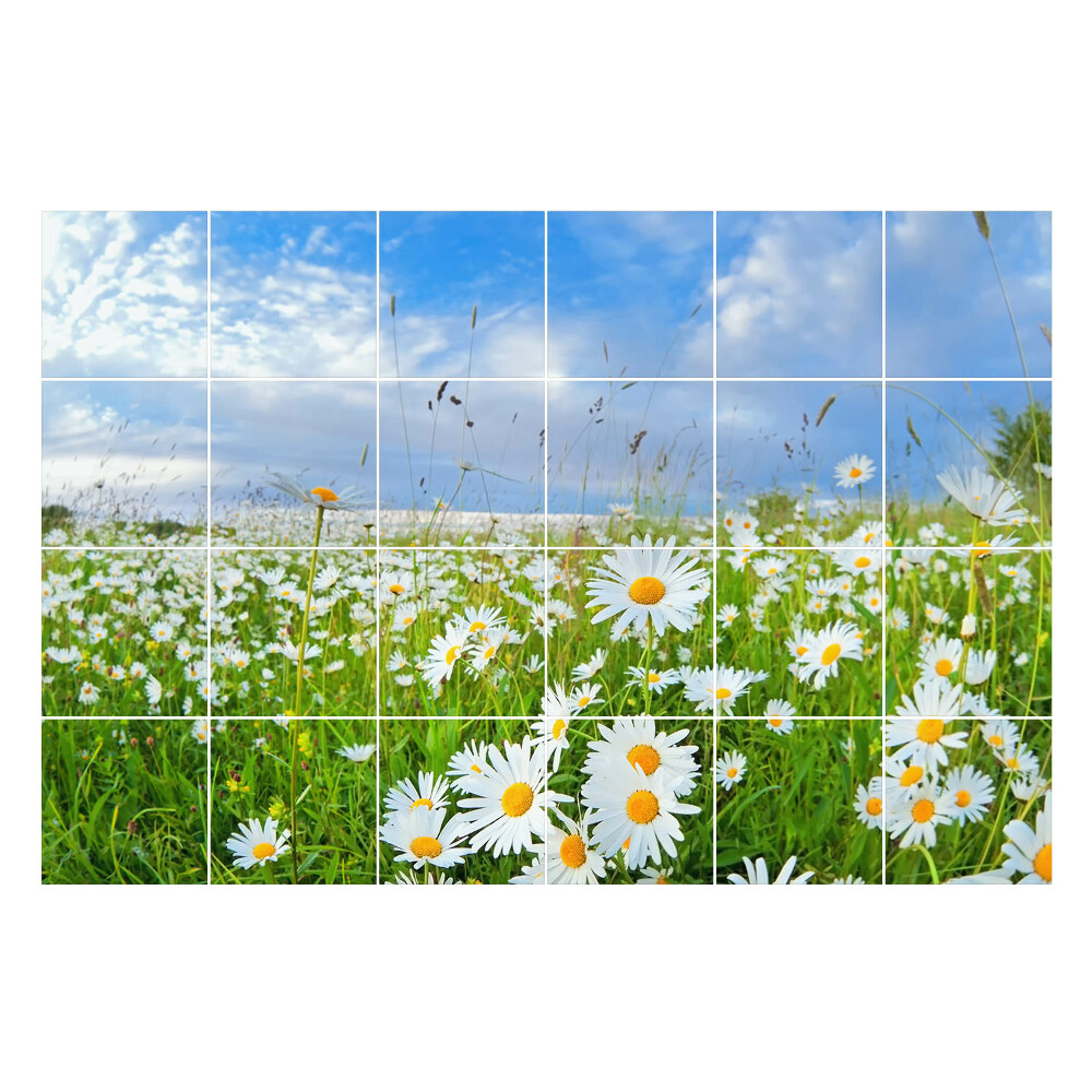 Öntapadós csempe matrica Virágos rét táj