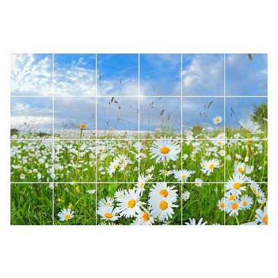 Öntapadós csempe matrica Virágos rét táj