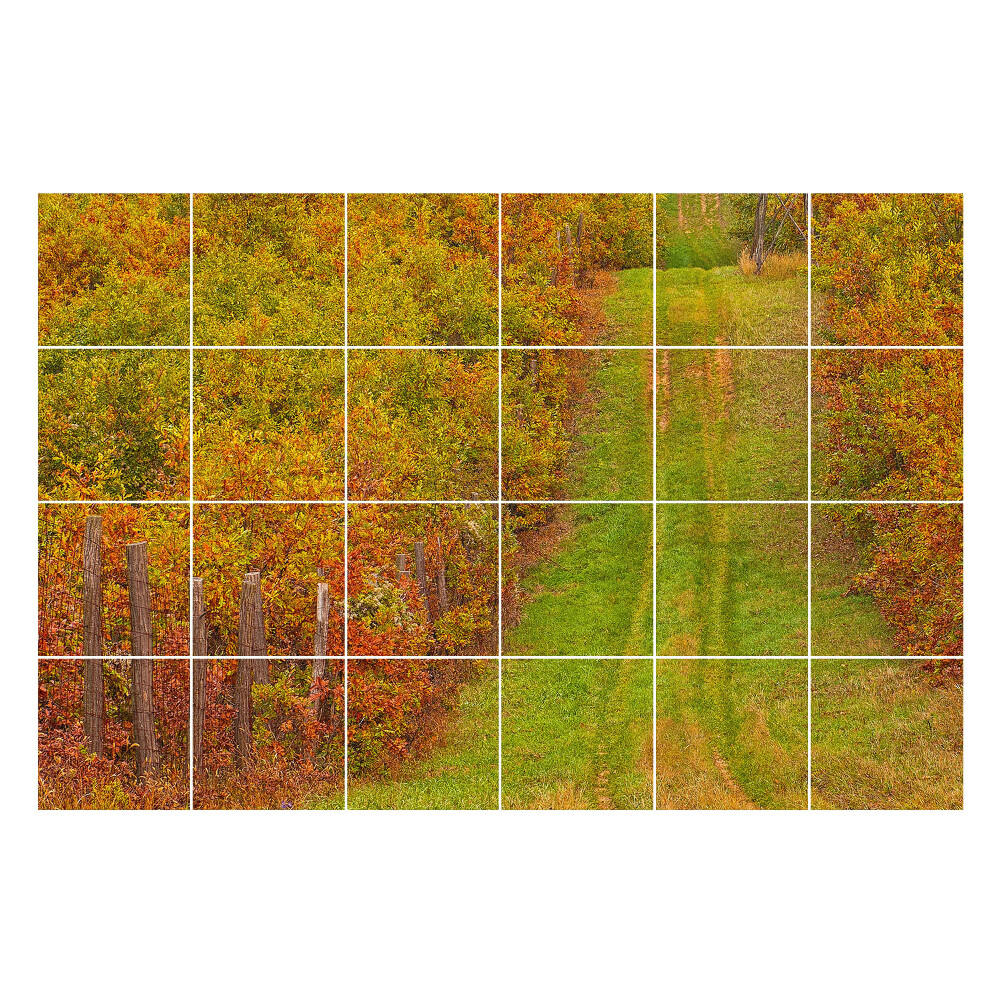 Öntapadós csempe matrica Őszi ösvény a természetben