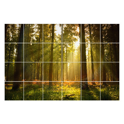Csempe matrica Napsugarak az erdőben