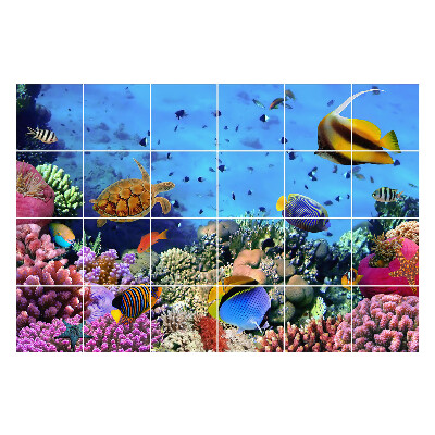 Csempe matrica Korallzátony halakkal