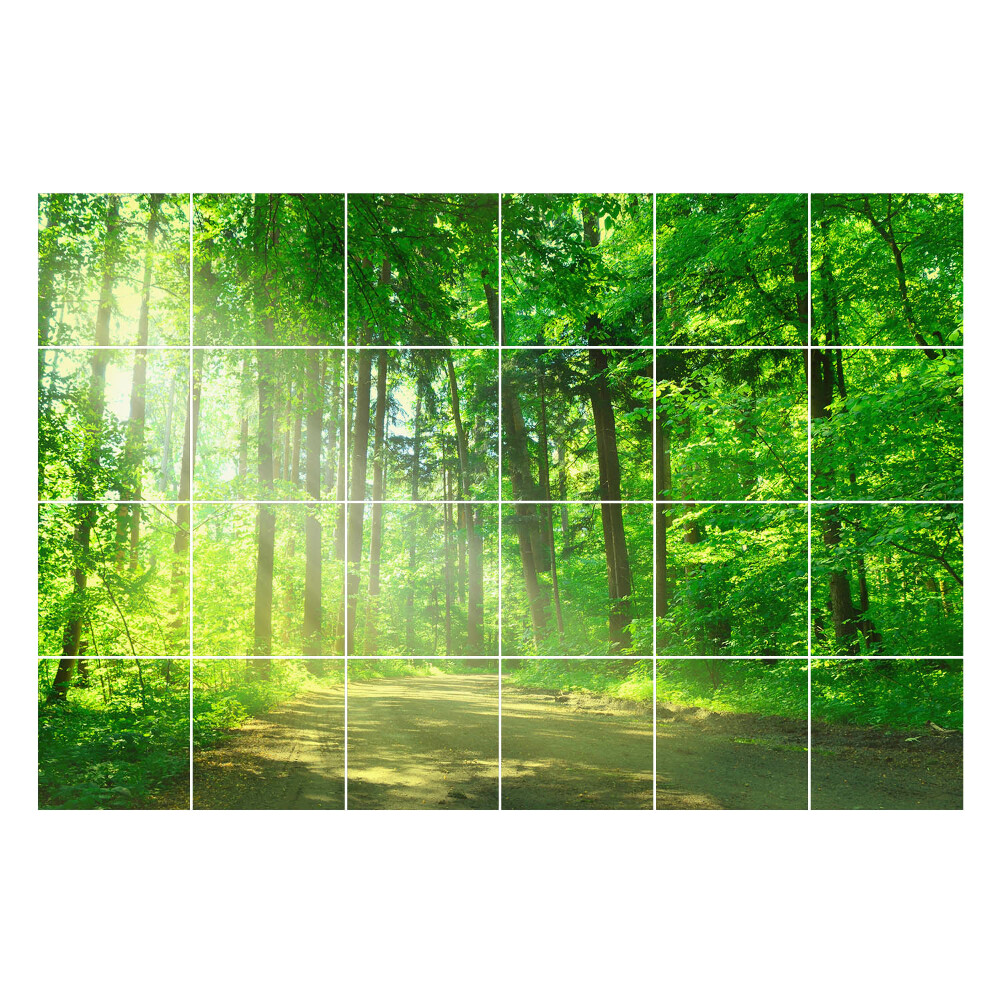 Öntapadós csempe matrica Erdei út a sugarakban