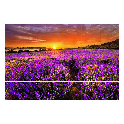 Csempe matrica Virágos táj naplementekor