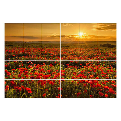 Öntapadós csempe matrica Virágos rét naplementekor