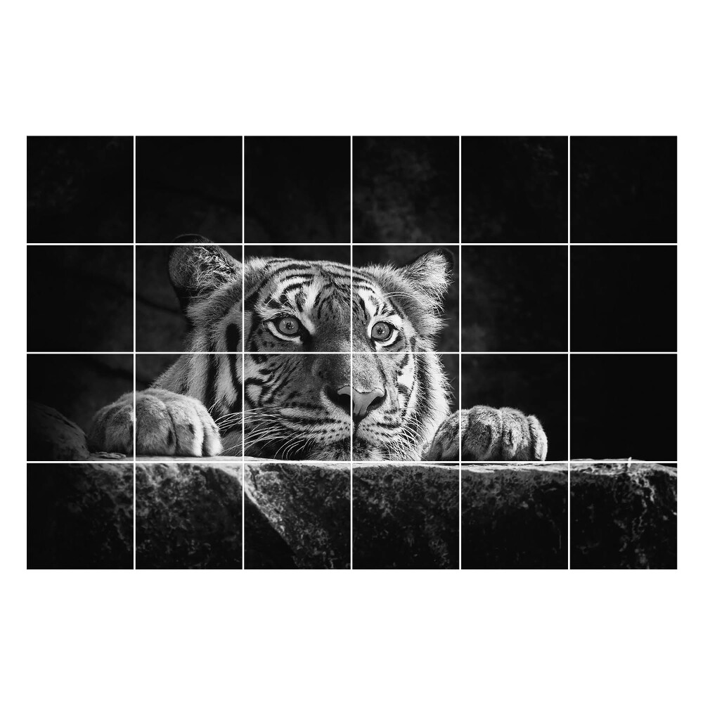 Öntapadós csempe matrica Közeli kép egy tigrisről