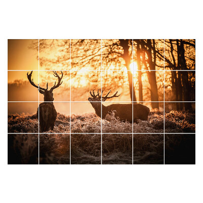 Csempe matrica Szarvas a reggeli ködben