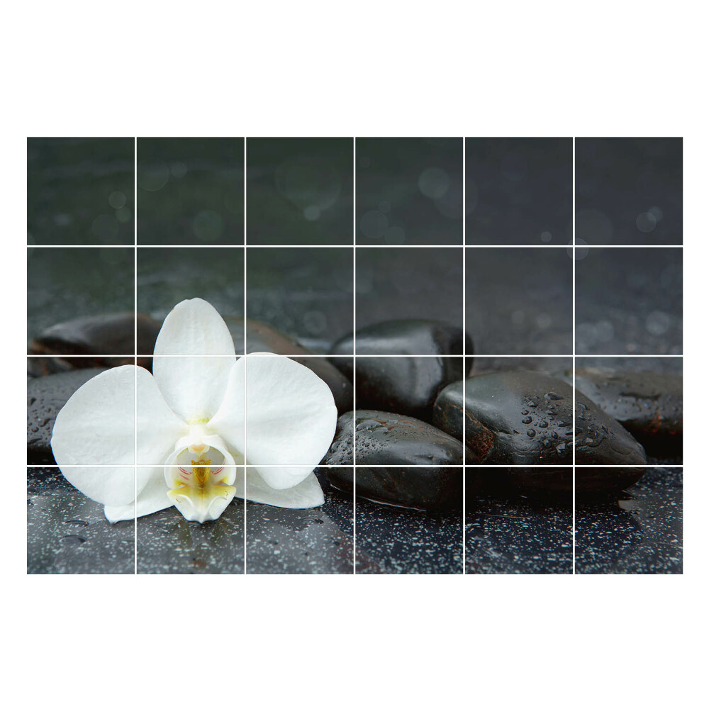 Öntapadós csempe matrica Virág a víz kövek