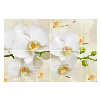 Csempe matrica Virágos orchidea motívumok