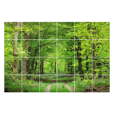 Csempe matrica Erdei ösvény a természetben