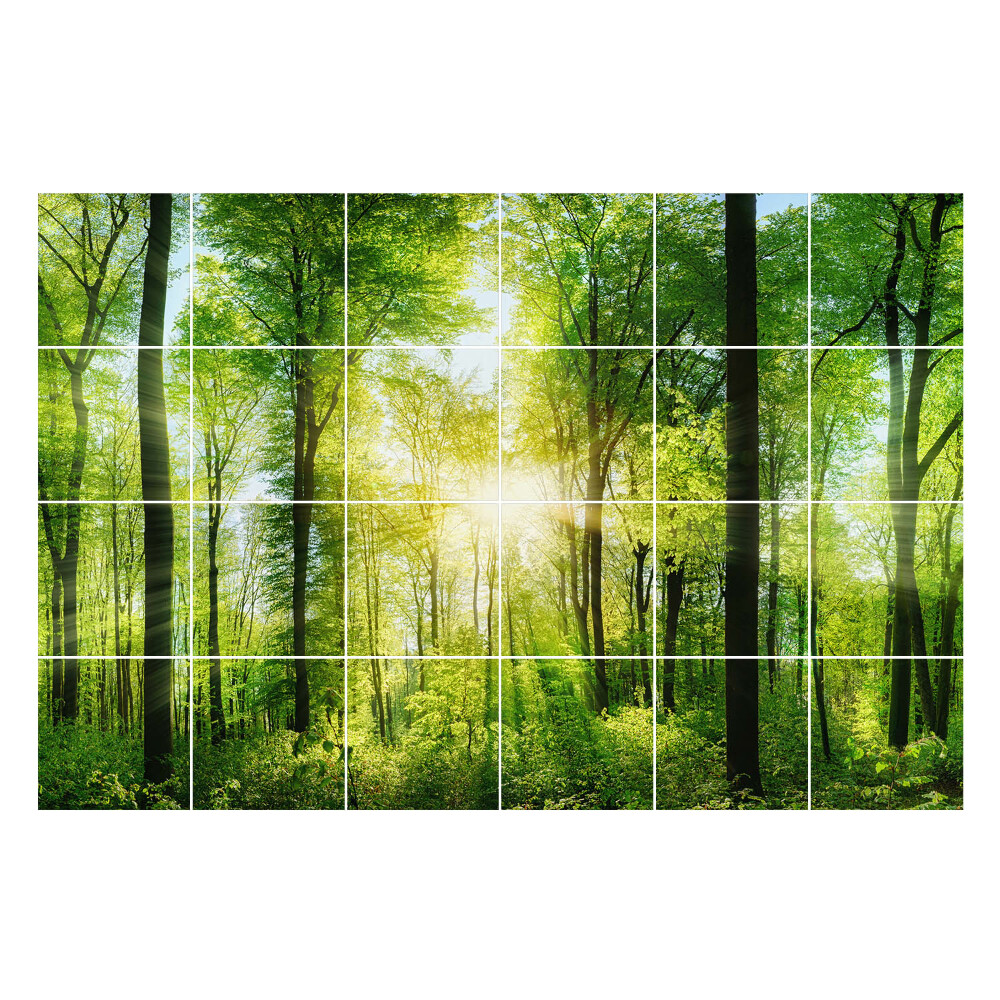 Csempe matrica Zöld erdő sugaraival