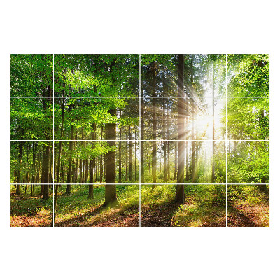 Öntapadós csempe matrica Napsugarak az erdőben