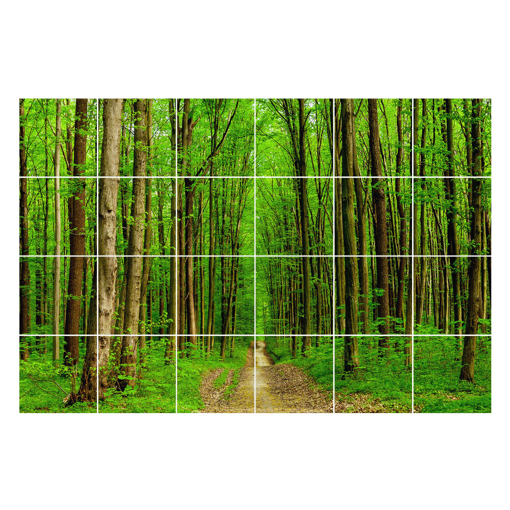 Öntapadós csempe matrica Zöld erdei ösvény