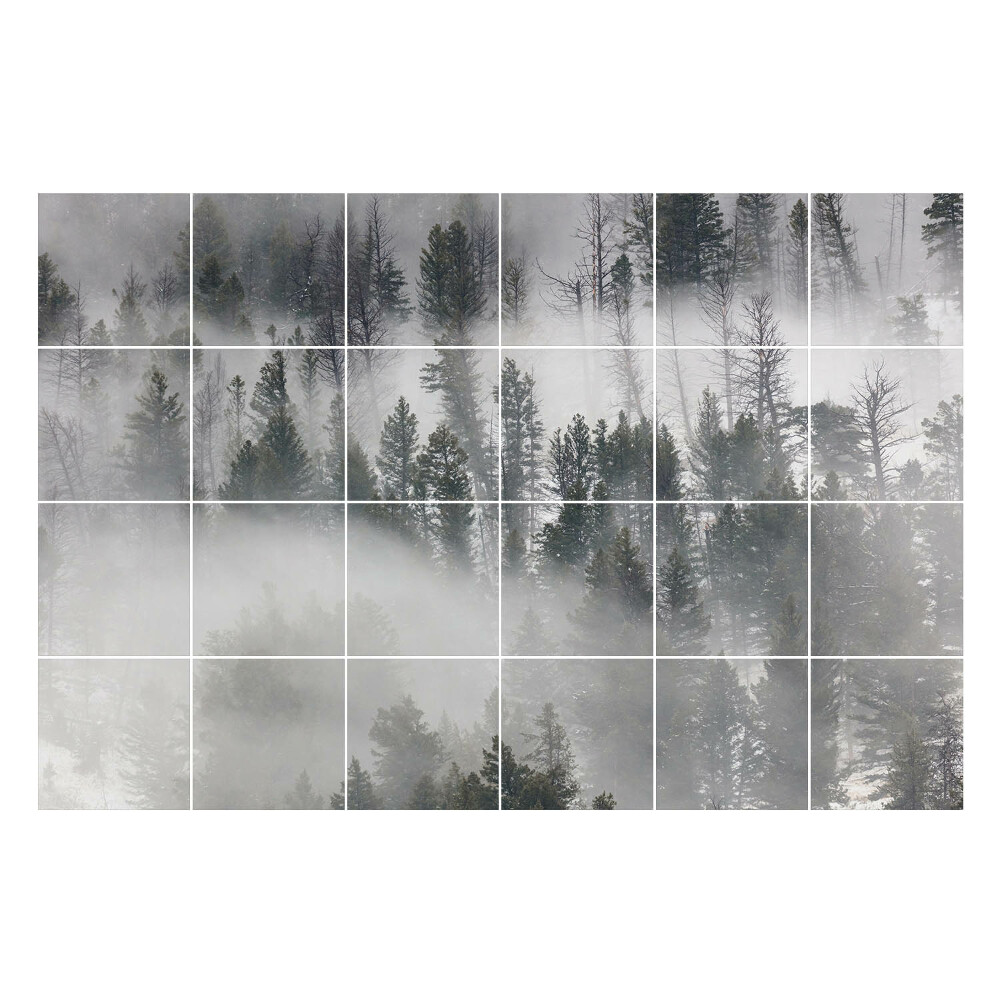 Csempe matrica Ködös erdei táj
