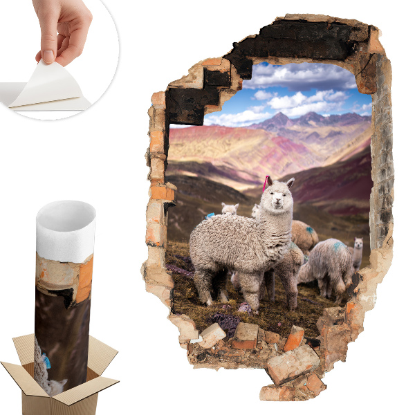 Falmatrica lyuk a falon 66x100 Alpaka-hegység