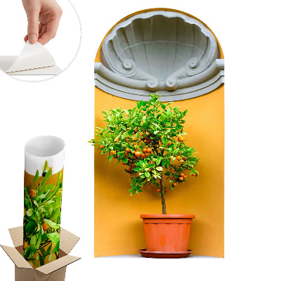 3d hatású falmatrica 71x130 Narancsfa