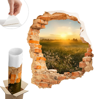 3D falmatrica lyuk 68x80 Napos rét