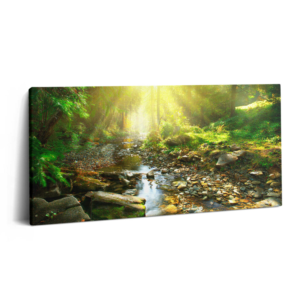 Vászonfotó 100x50 Erdei patak a napfényben