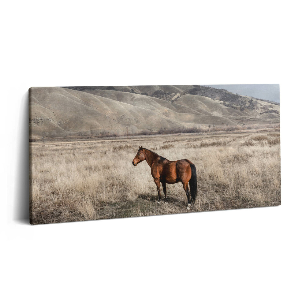 Vászonfotó 100x50 Ménes a fű között