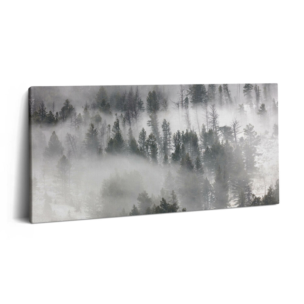 Vászonfotó 100x50 Ködös erdei táj