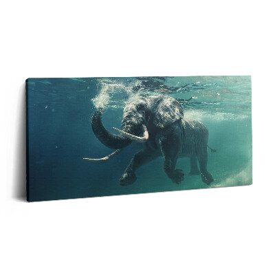 Vászonfotó 100x50 Afrikai elefánt a vízben