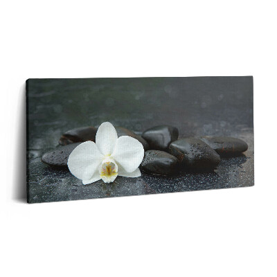 Vászonfotó 100x50 Zen kövek fehér virágokkal