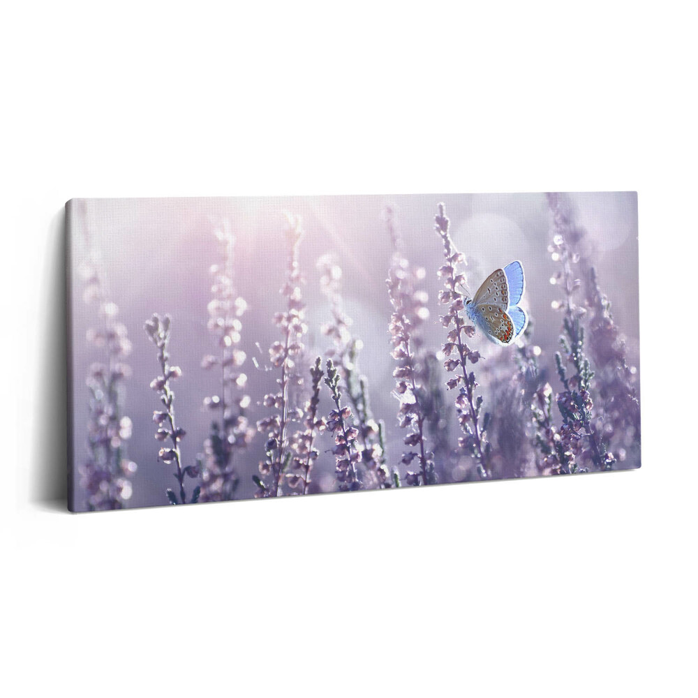 Vászonfotó 100x50 Pillangó mezei virágokon