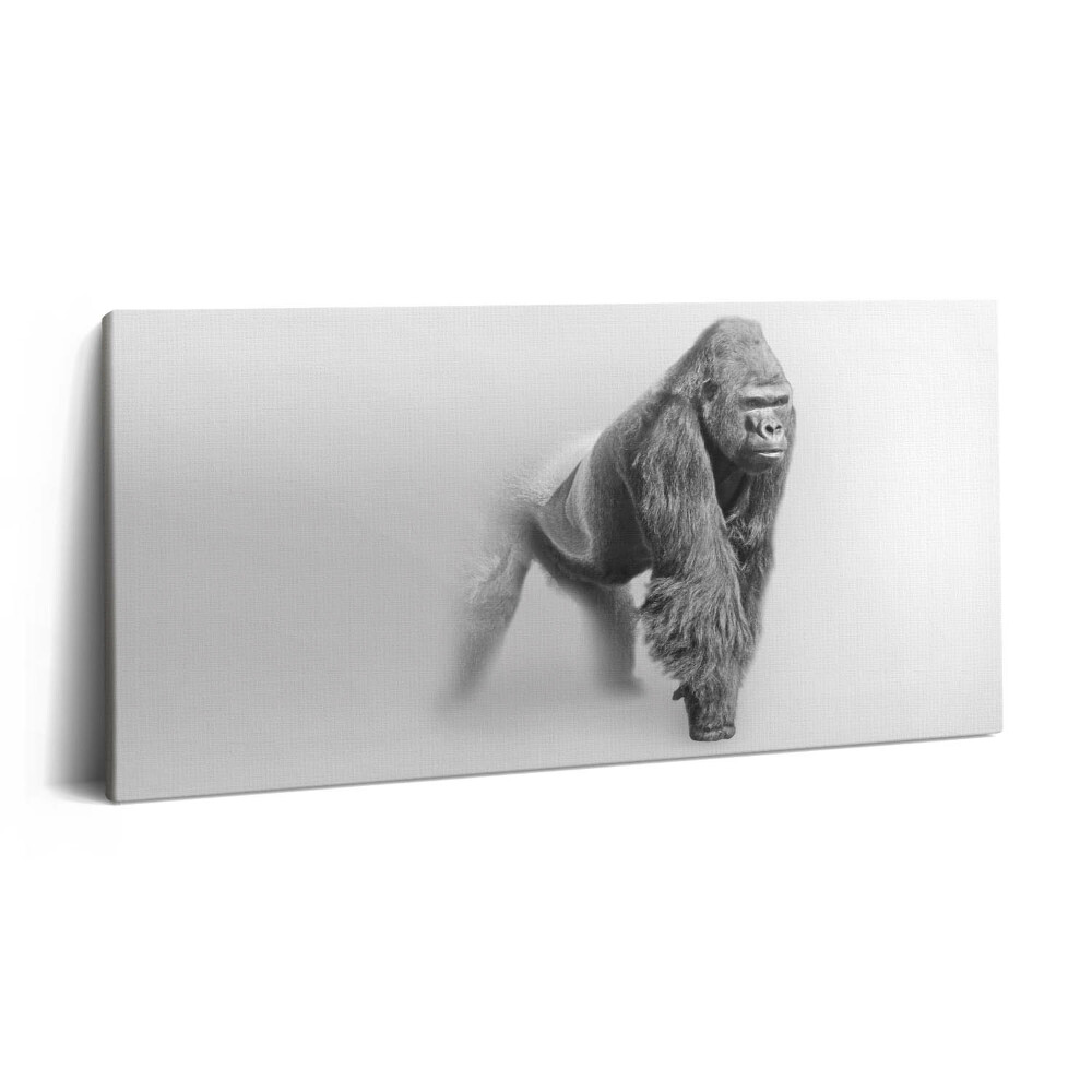 Vászonfotó 100x50 Vadon élő állatok gyűjteménye