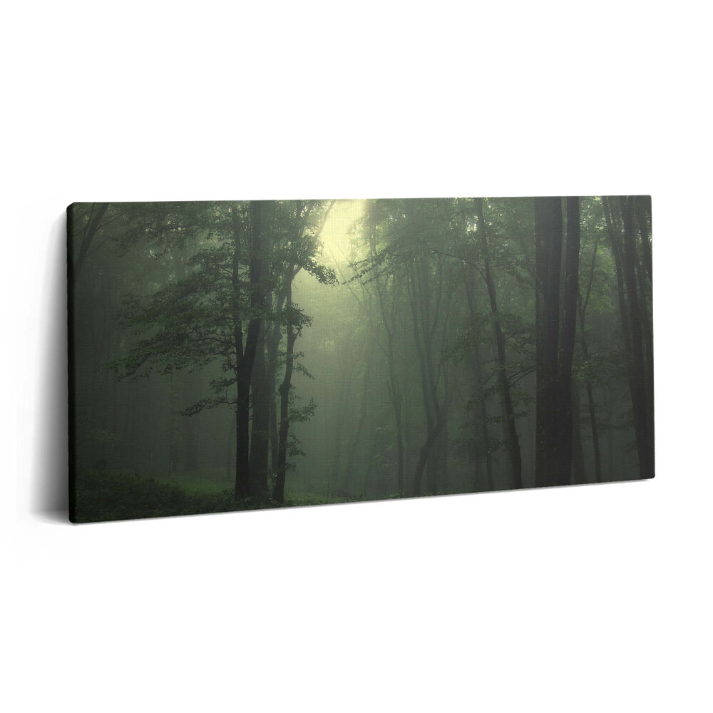 Vászonfotó 100x50 Ködös erdő reggel