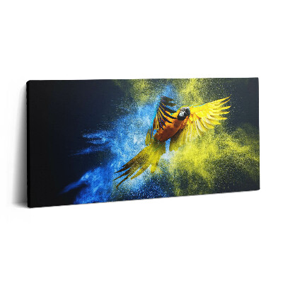 Vászonfotó 100x50 Színes papagáj