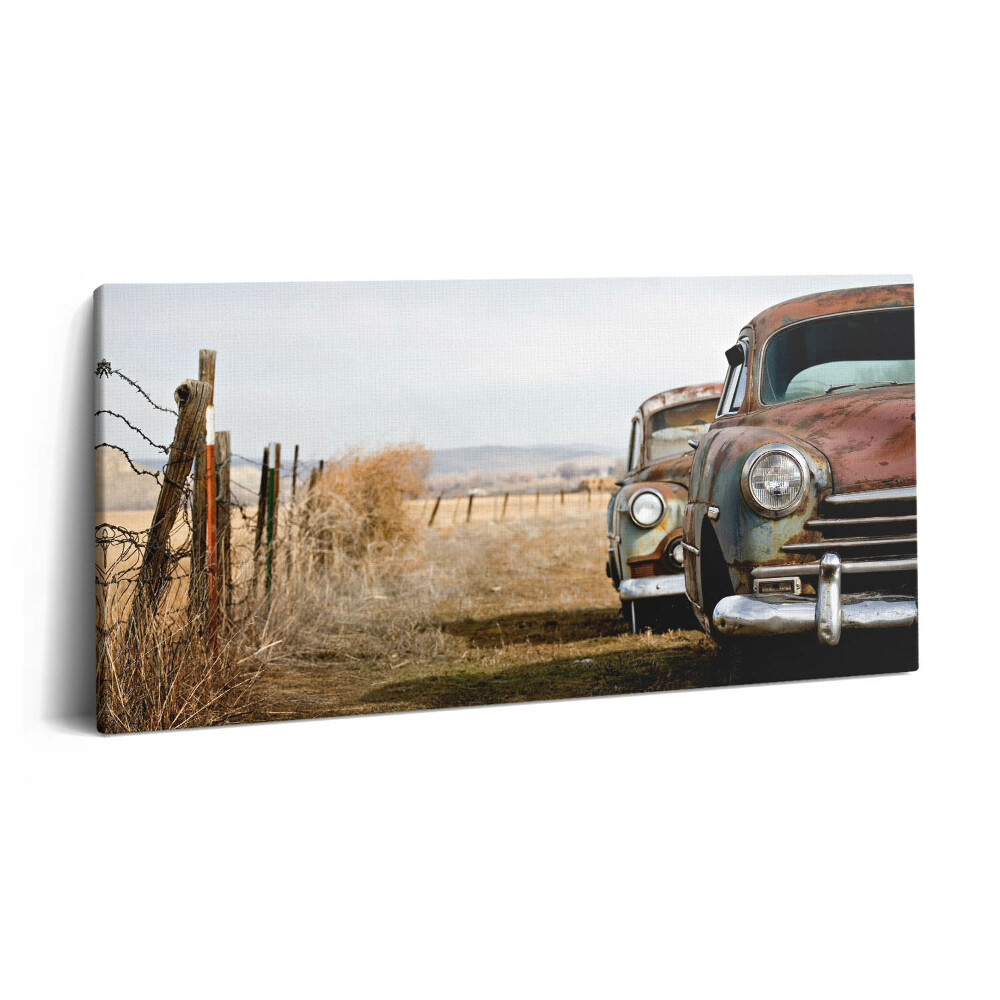 Vászonfotó 100x50 Régi elhagyott autók