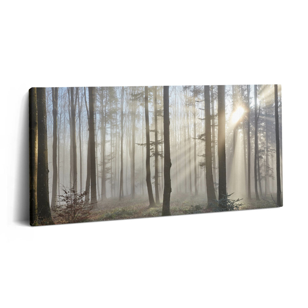 Vászonfotó 100x50 Erdő a ködben