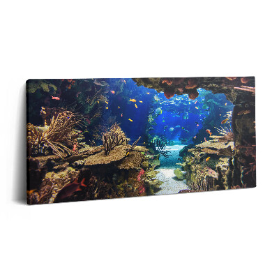 Vászonfotó 100x50 Akvárium