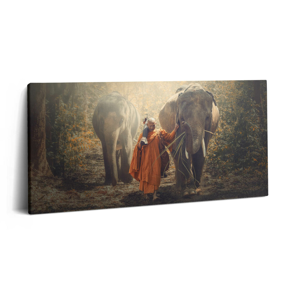 Vászonfotó 100x50 Szerzetes és elefántok