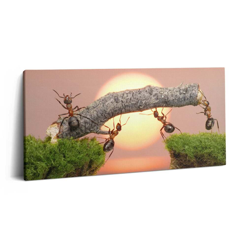 Vászonfotó 100x50 Hangyák egy fatörzsön