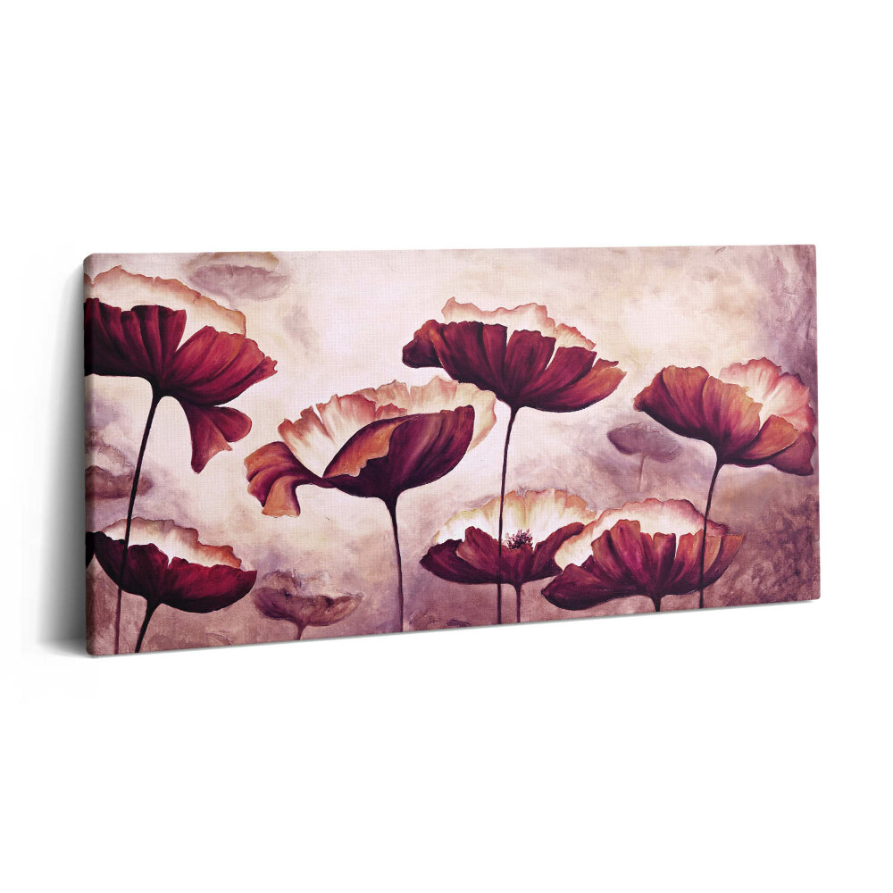 Vászonfotó 100x50 Virágzó mákvirágok