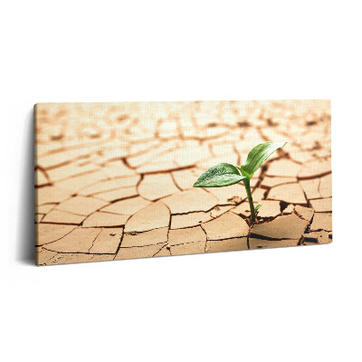 Vászonfotó 100x50 Ültetés száraz talajban