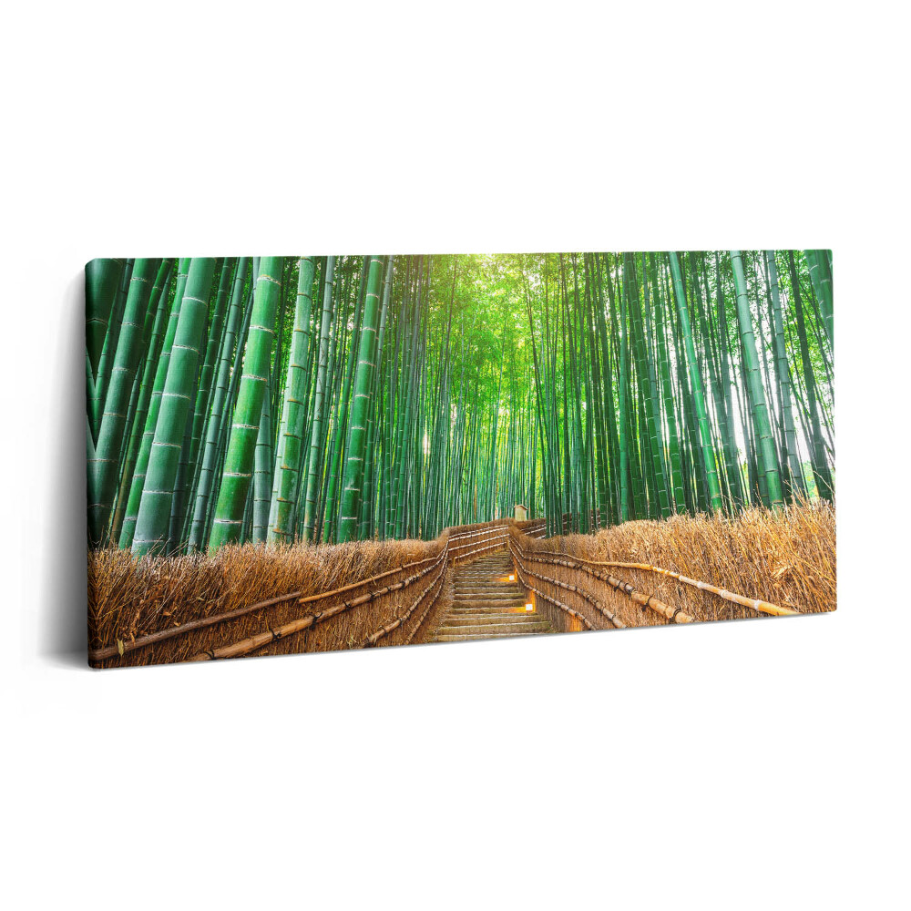 Vászonfotó 100x50 Út egy bambuszos erdőben