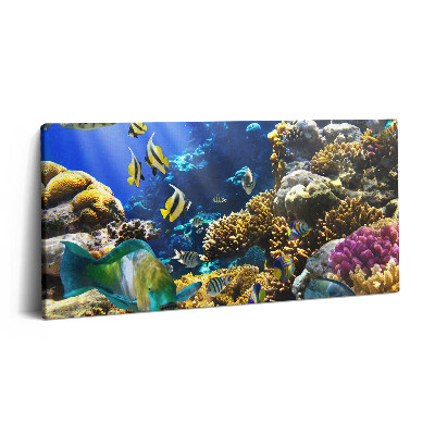 Vászonfotó 100x50 Halak képe egy korallzátonyon